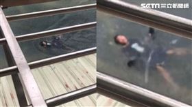 男子轉念，果斷跑到路中央躺進水裡「仰蛙式」搭配夾腳拖划呀划，前進速度看得見。（圖／翻攝畫面）