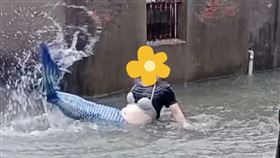 美人魚,高雄,凱米,淹水（圖／翻攝畫面）