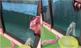 高雄大淹水，住在高樓層的住戶也無法倖免，陽台變成巨型水族箱。 (圖／翻攝高雄點 Kaohsiungtien臉書)
