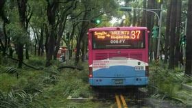 仁愛路現況。（圖／北市府提供）