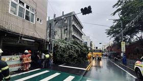 彰化,鹿港,磚造平房,路樹,傾倒,災情,颱風（圖／翻攝畫面）