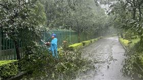 凱米颱風,九族文化村 提供