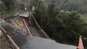 南投溪頭、杉林溪