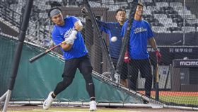 ▲富邦悍將前進大巨蛋練球（圖／富邦悍將提供）