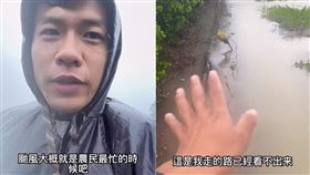 雲林青農柏賢分享自己的西瓜田在風災過後的情況，感嘆該做的都做了，還是難以避免心血全泡湯的結果。（圖／翻攝自西部農場Instagram）