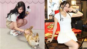 李雅英講到一半當場撸起了身旁的柯基犬。（圖／流浪動物之家基金會提供）