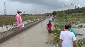 獨／康芮大雨夜襲    年底收成作物價飆高
