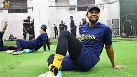 ▲中信兄弟新洋投象騎士（Angel Sanchez）。（圖／中信兄弟提供）