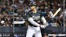 ▲台鋼雄鷹指定打擊魔鷹。（圖／記者劉彥池攝影）