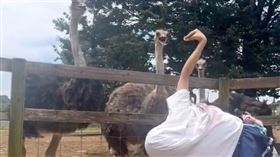 琴吹ゆず 翻攝x