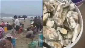 福州民眾帶水桶到海邊撿生蠔。（圖／翻攝自微博）