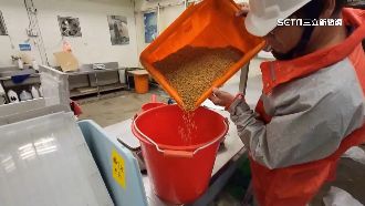 責任感爆棚！保育員不畏風雨上班照顧動物