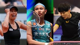 左起網球一姐謝淑薇、羽球一姐戴資穎和桌球一姐鄭怡靜都將在28日出戰。（合成圖／翻攝自網路）