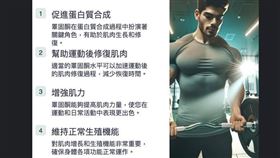 睪固酮對肌肉生長和修復，非常重要，它可以促進蛋白質合成，幫助人體運動後修復肌肉、增強肌力。(圖/取自蕭捷健的臉書)