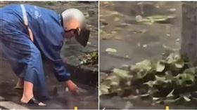 高雄騎士撿水溝蓋上樹葉。（圖／翻攝Threads）