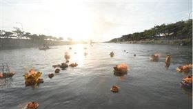 ▲放水燈是希望照亮、指引上岸的路。（圖／擷取自彰化縣長王惠美臉書）