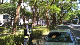 北市松山區發生路樹倒塌意外，樹幹直接砸破路過車輛擋風玻璃。（圖／翻攝畫面）