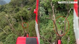 空勤總隊派出直升機前往該處搜救，發現教授一行4人平安，經搜救人員說服仍無效，表明不願下山。（圖／翻攝畫面）
