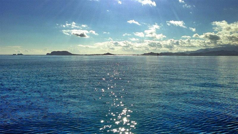妹妹擅自替父「海葬」　兄怒告獲賠僅1元