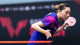 ▲台灣桌球好手簡彤娟。（圖／WTT提供）
