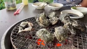 文 中秋沒蚵吃1800