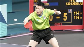 台灣桌球好手高承睿。（圖／中華奧會提供）