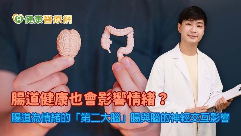 腸健康影響情緒古代智慧與現代醫學可解釋