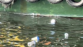 高雄,前鎮,漁港,落海