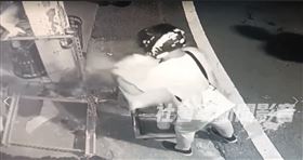 屏東,鸚鵡,金剛鸚鵡,竊賊,小偷