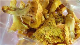 聯馥食品自立陶宛進口「黃蘑菇」檢出原子塵或放射能不符規定。（圖／食藥署提供）
