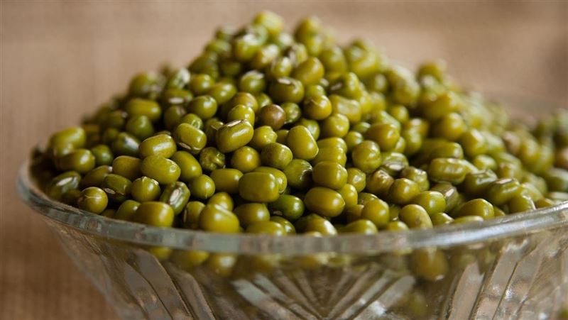綠豆退火又降膽固醇　中醫點名4種人不宜