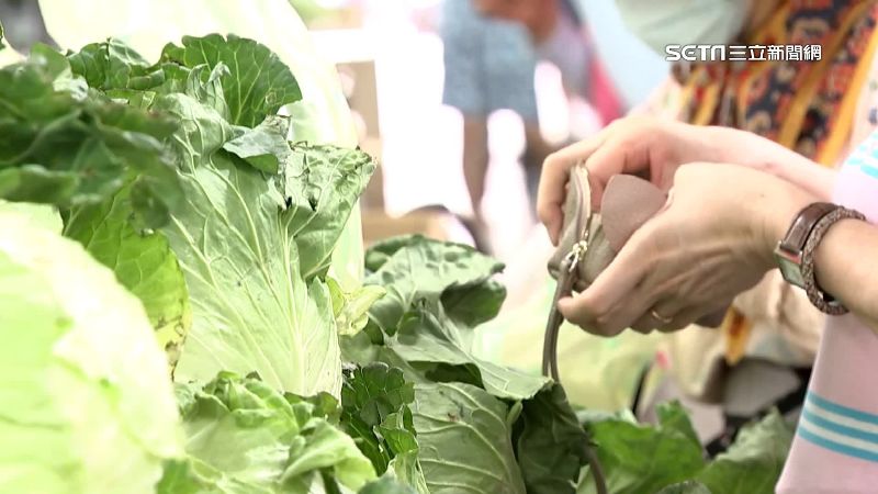 颱風後菜價飆漲！葉菜貴5成、香菜近千元