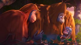 《森之聲：猩火燎原》。（圖／網銀國際影視提供）