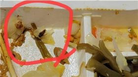 新北市蝦捲店便當裡有蟑螂。（圖／翻攝自臉書社團「我是永和人」）