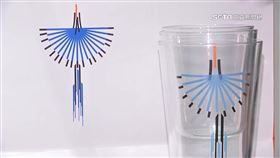 獨家／「台灣藍鵲」成奧運意象禮品！「酒杯、吊飾、香氛」促國際外交