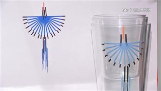 獨／美感、實用兼具　「台灣藍鵲」登奧運