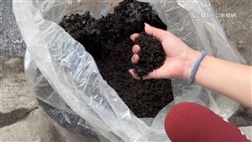 獨家／茶行2千斤高價老茶泡水　業者心痛整批丟棄