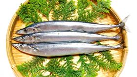 鯖魚
（示意圖，photoAC）