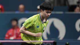 ▲台灣桌球好手林昀儒。（圖／中華奧會提供）