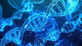 醫師陳韋達表示，若父母一方有偏頭痛，子女偏頭痛的機率為44%，若父母均有偏頭痛，子女有高達66%的機率也受偏頭痛之苦。