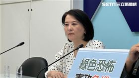 ▲立委王鴻薇出席記者會受訪（圖／記者陳怡潔攝影）
