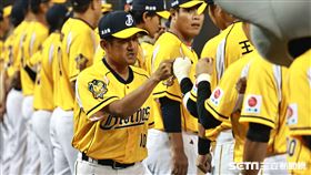 ▲中信兄弟總教練平野惠一。（圖／記者劉彥池攝影）