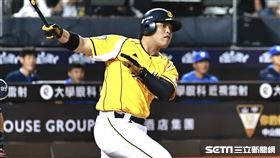 ▲中信兄弟指定打擊陳子豪。（圖／記者劉彥池攝影）