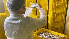 台糖 古早味冰棒https://health.tainan.gov.tw/page.asp?mainid=A9A0A6CD-8492-440D-B19C-D98E706175E1&srcorcaid=BB92A4F2-BCA7-4073-9020-10154AB4405A