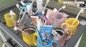 嘉義,接小孩,家長,幼兒園,雞蛋糕