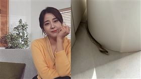 朴恩惠家中發現蛇皮。（圖／翻攝eunhye.p IG）