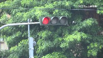 烈日下等162秒紅燈　行人、機車族恐中暑
