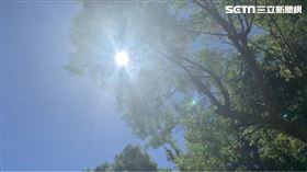 夏天豔陽暴曬、大太陽、中暑、曬傷（圖／資料照）