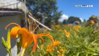 暑假尾聲！台東58家業者推「省錢券」吸客