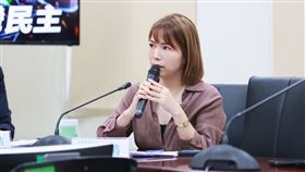 民眾黨黨團主任陳智菡。(圖/民眾黨團提供)